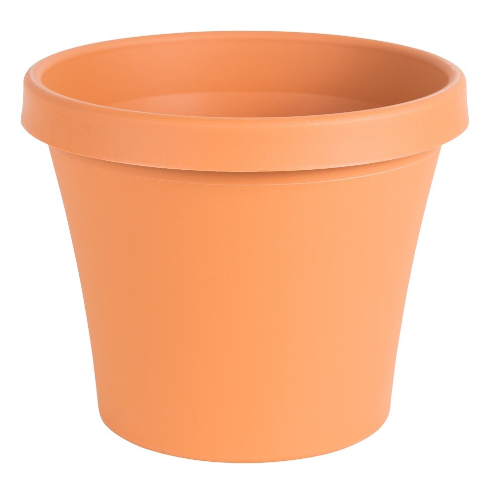 Bloem Terra Pot 4-inch Terra Cotta Planter