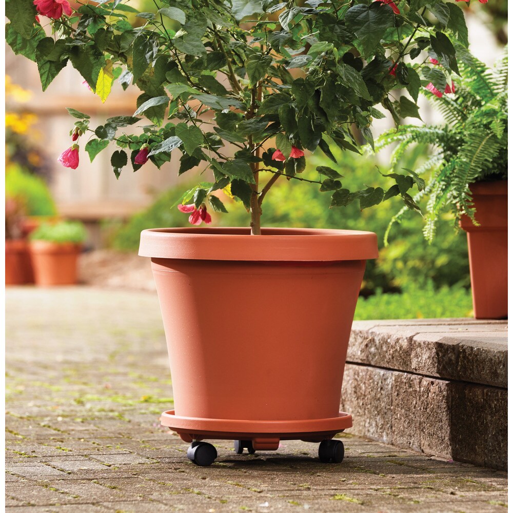 Bloem Terra Pot 4-inch Terra Cotta Planter