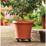 Bloem Terra Pot 4-inch Terra Cotta Planter