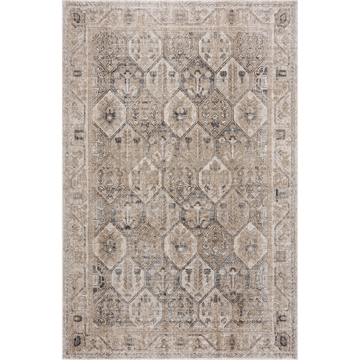 Bloom Rugs Troya Collection Bordered Geometric Traditional Vintage Boho Area Rug