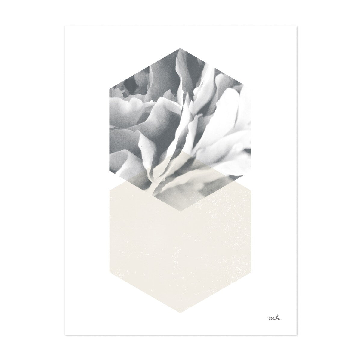 Blossoms IV v2 Mixed Media Abstract Black White Rose Art Print/Poster