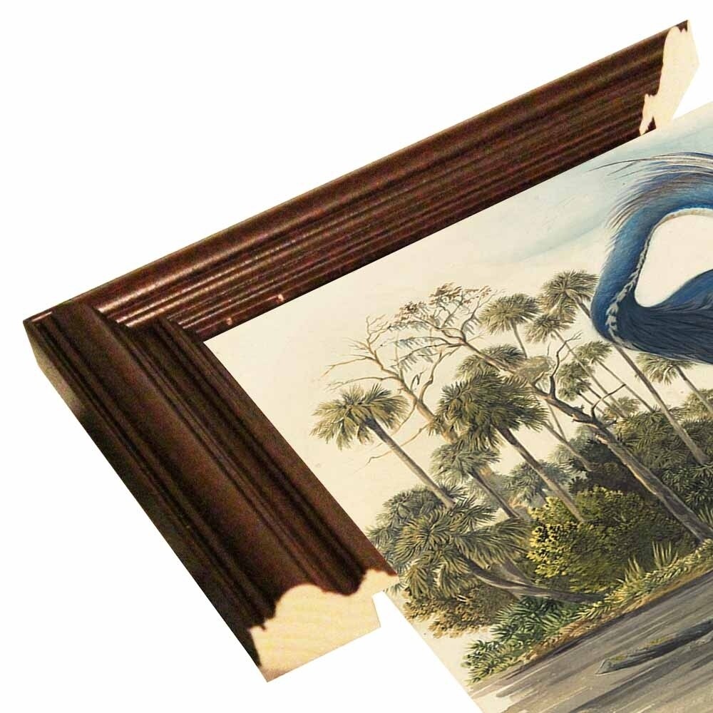 Blue Heron-VINAPP130568 Framed Print 13.5"x18.75" by Vintage Apple Collection
