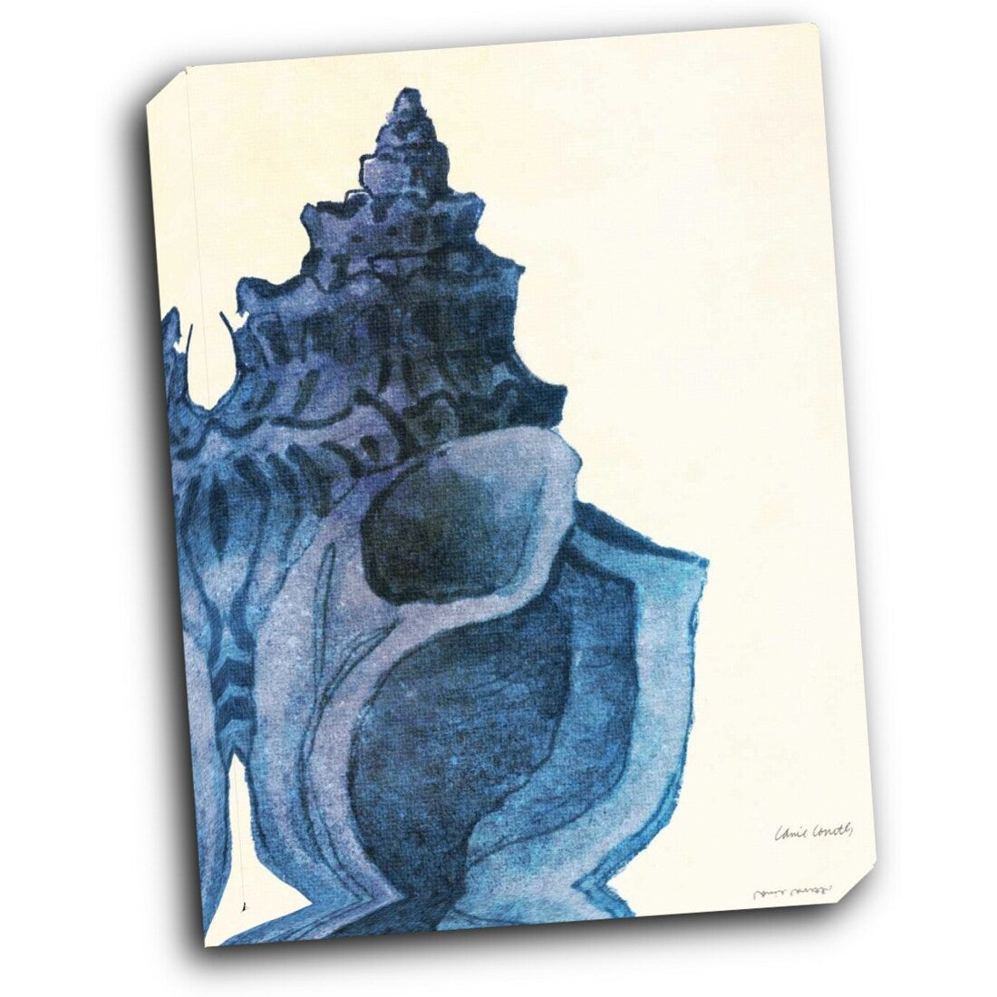 Blue Shell I 16x20 Gallery Wrapped Stretched Canvas