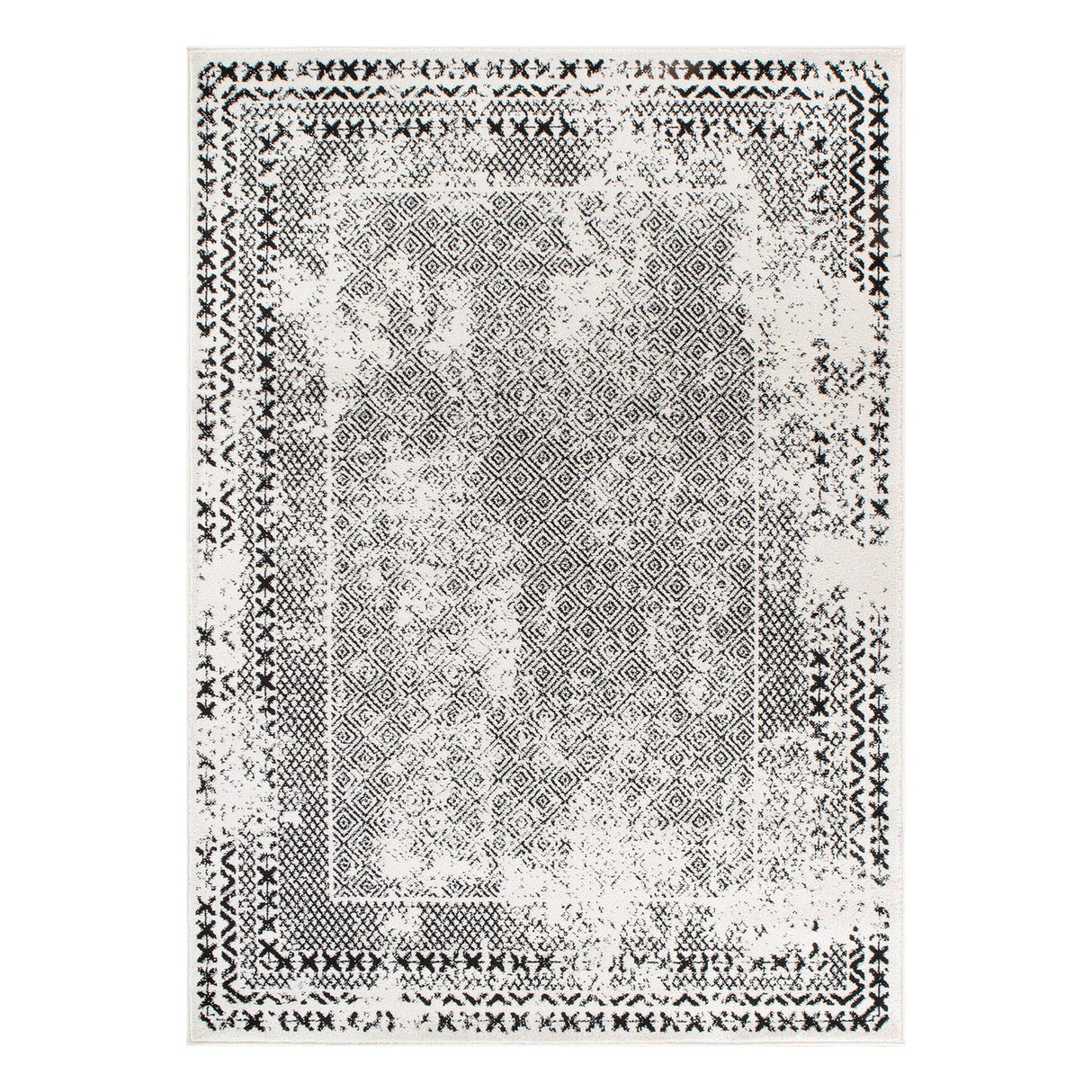 Bohemian Distressed Border Area Rug