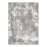 Bohemian Distressed Border Area Rug