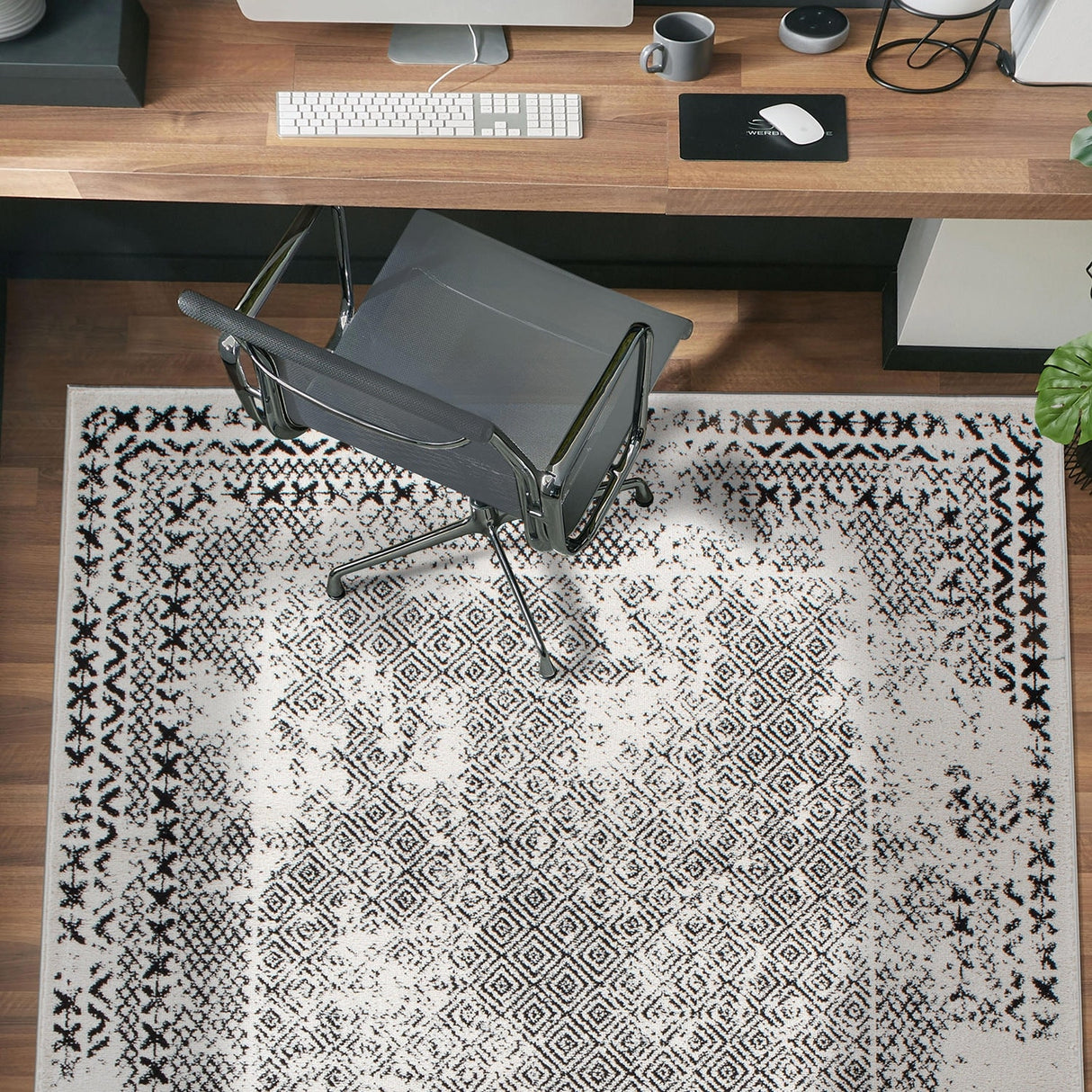 Bohemian Distressed Border Area Rug