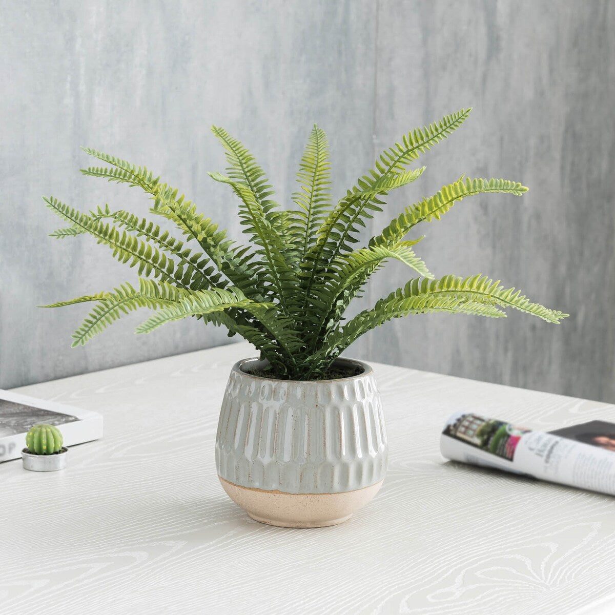 Boston Fern in Glazed Pot