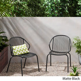 Boston Modern Outdoor Club Chair (Set of 2) by Christopher Knight Home