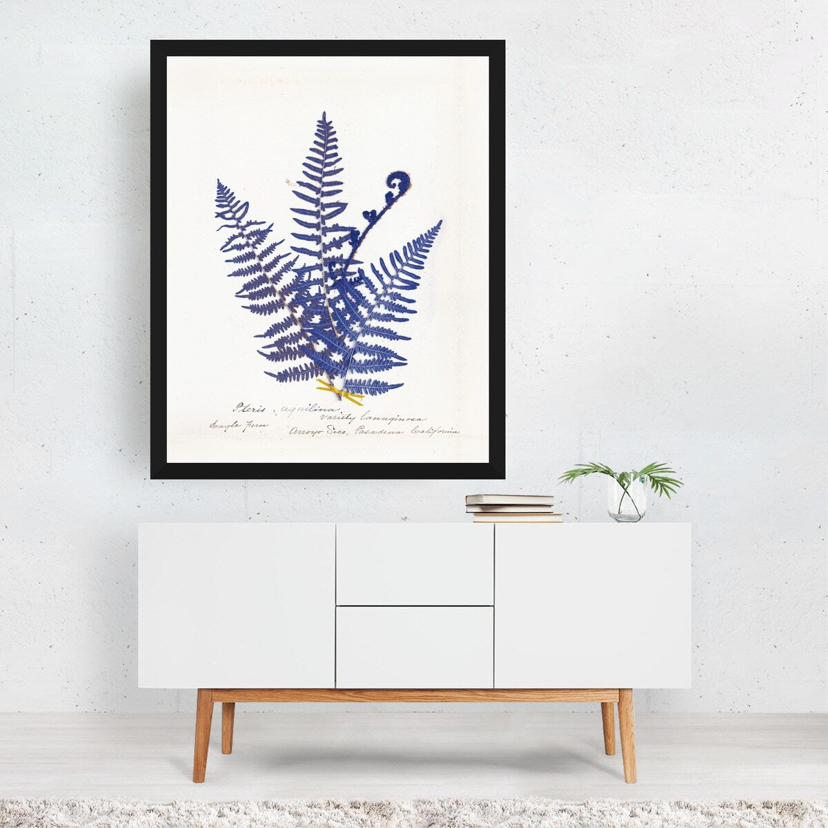 Botanical Fern IV Blue Light Illustrations Nature Art Print/Poster