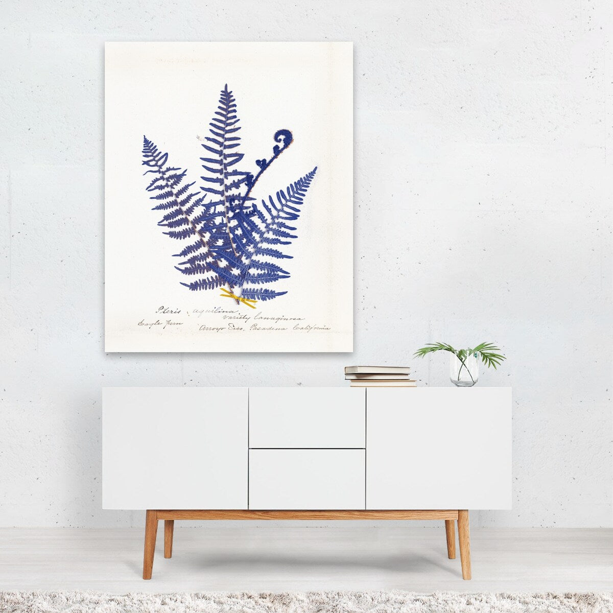 Botanical Fern IV Blue Light Illustrations Nature Art Print/Poster