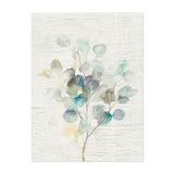 Botanical Nature Vintage Illustrations Unframed Wall Art Print/Poster