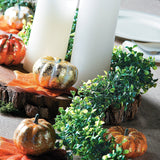 Boxwood Garland, Wedding Supplies, Farmhouse, Home Decor, 12' Foot Long - 144"
