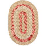Braided Farmhouse Cotton Reversible Area Rug