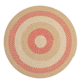 Braided Farmhouse Cotton Reversible Area Rug