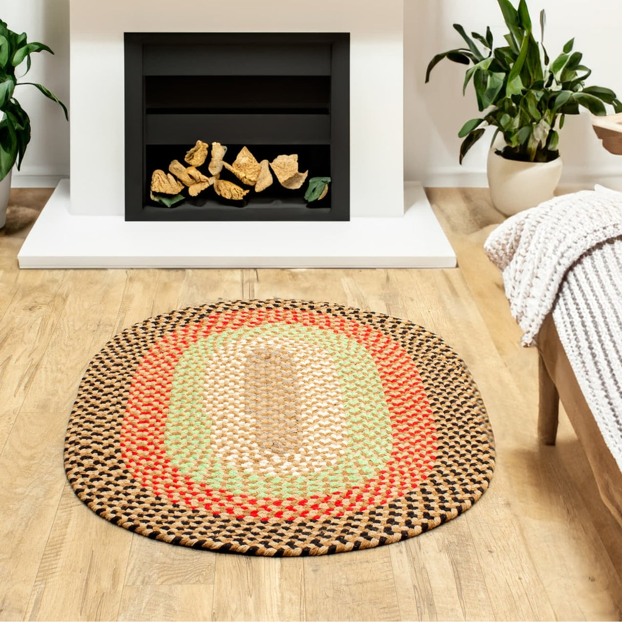 Braided Farmhouse Cotton Reversible Area Rug