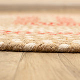 Braided Farmhouse Cotton Reversible Area Rug