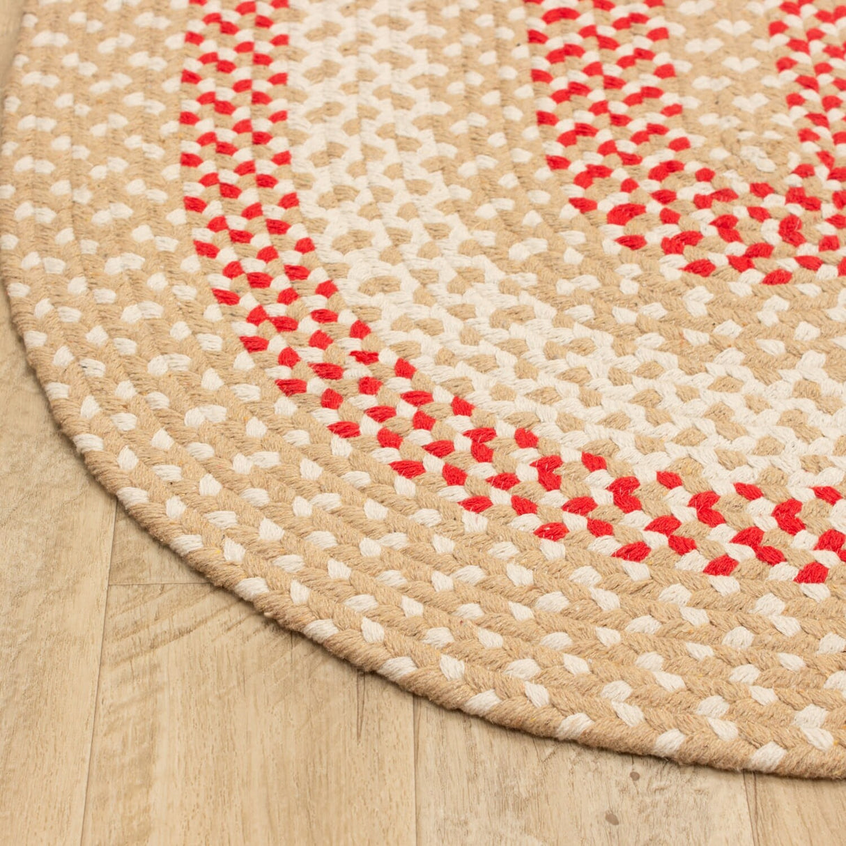 Braided Farmhouse Cotton Reversible Area Rug