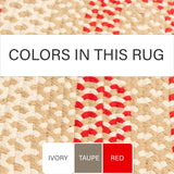 Braided Farmhouse Cotton Reversible Area Rug