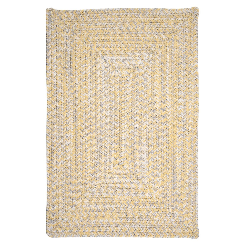 Ocean's Edge Braided Indoor/ Outdoor Area Rug