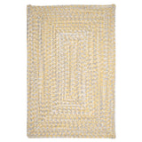 Ocean's Edge Braided Indoor/ Outdoor Area Rug