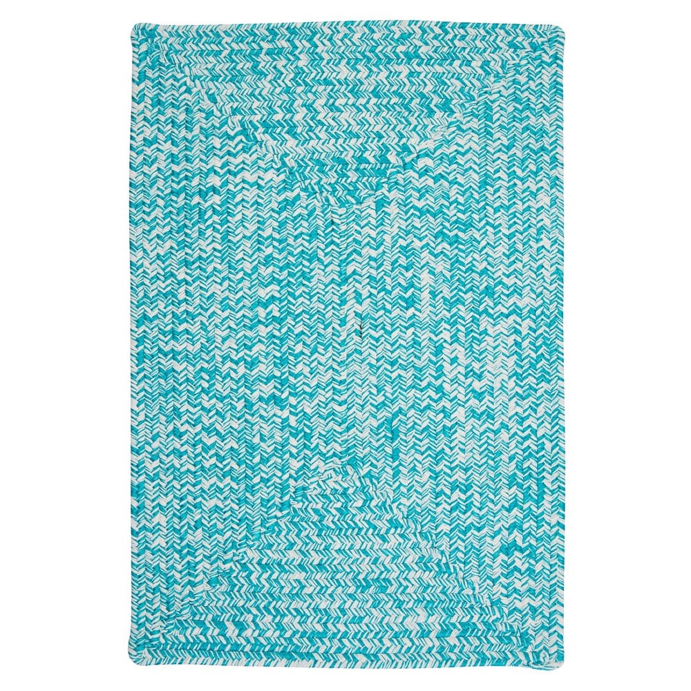 Ocean's Edge Braided Indoor/ Outdoor Area Rug
