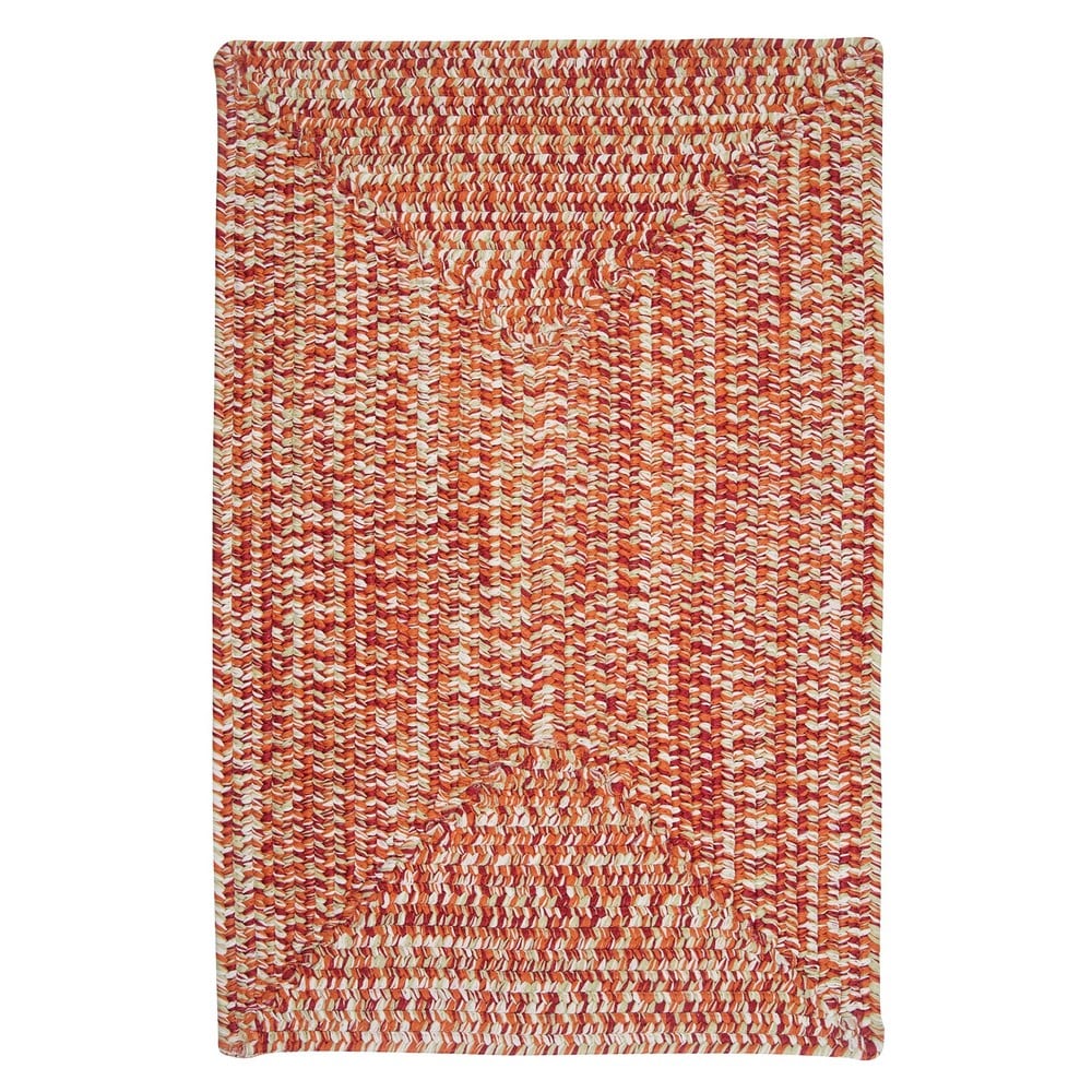 Ocean's Edge Braided Indoor/ Outdoor Area Rug