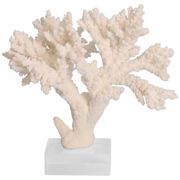 Branch Coral 12-15 Inch On Acrylic Base