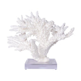 Branch Coral 12-15 Inch On Acrylic Base