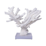 Branch Coral 12-15 Inch On Acrylic Base