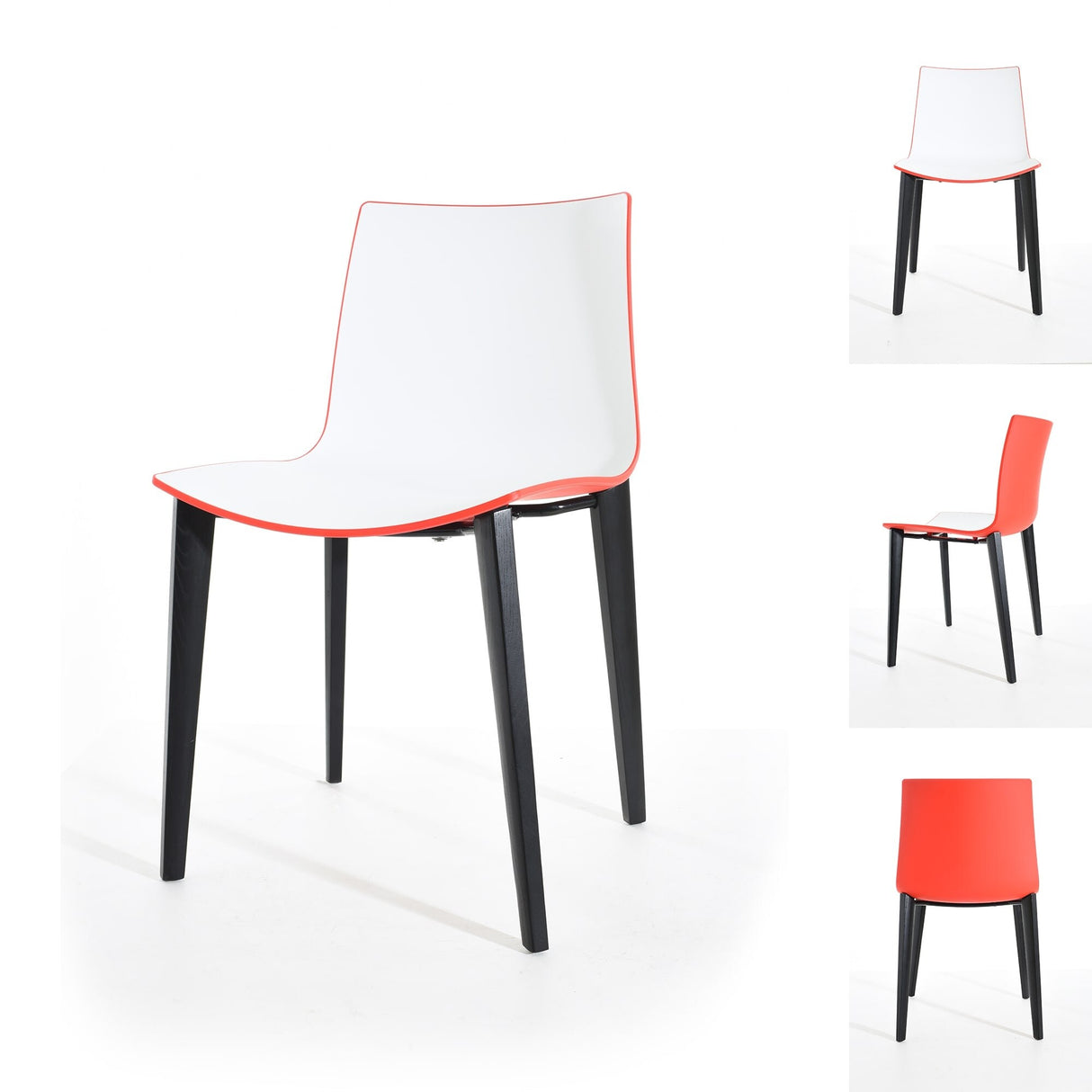 Branka Modern Two-Toned Polypropylene Dining Chairs with Wooden Legs (set of 2)