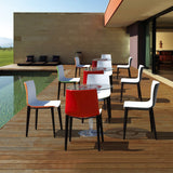 Branka Modern Two-Toned Polypropylene Dining Chairs with Wooden Legs (set of 2)