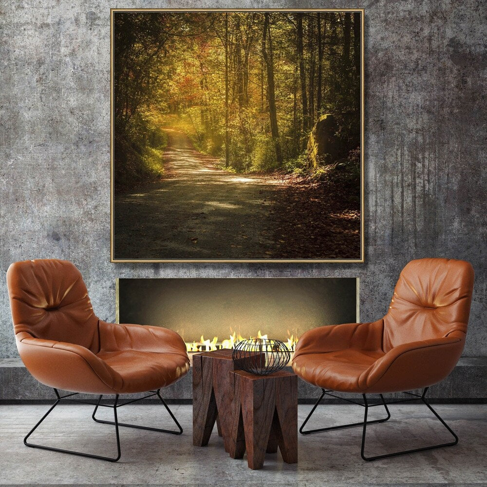 Break on Through Framed Canvas Wall Art