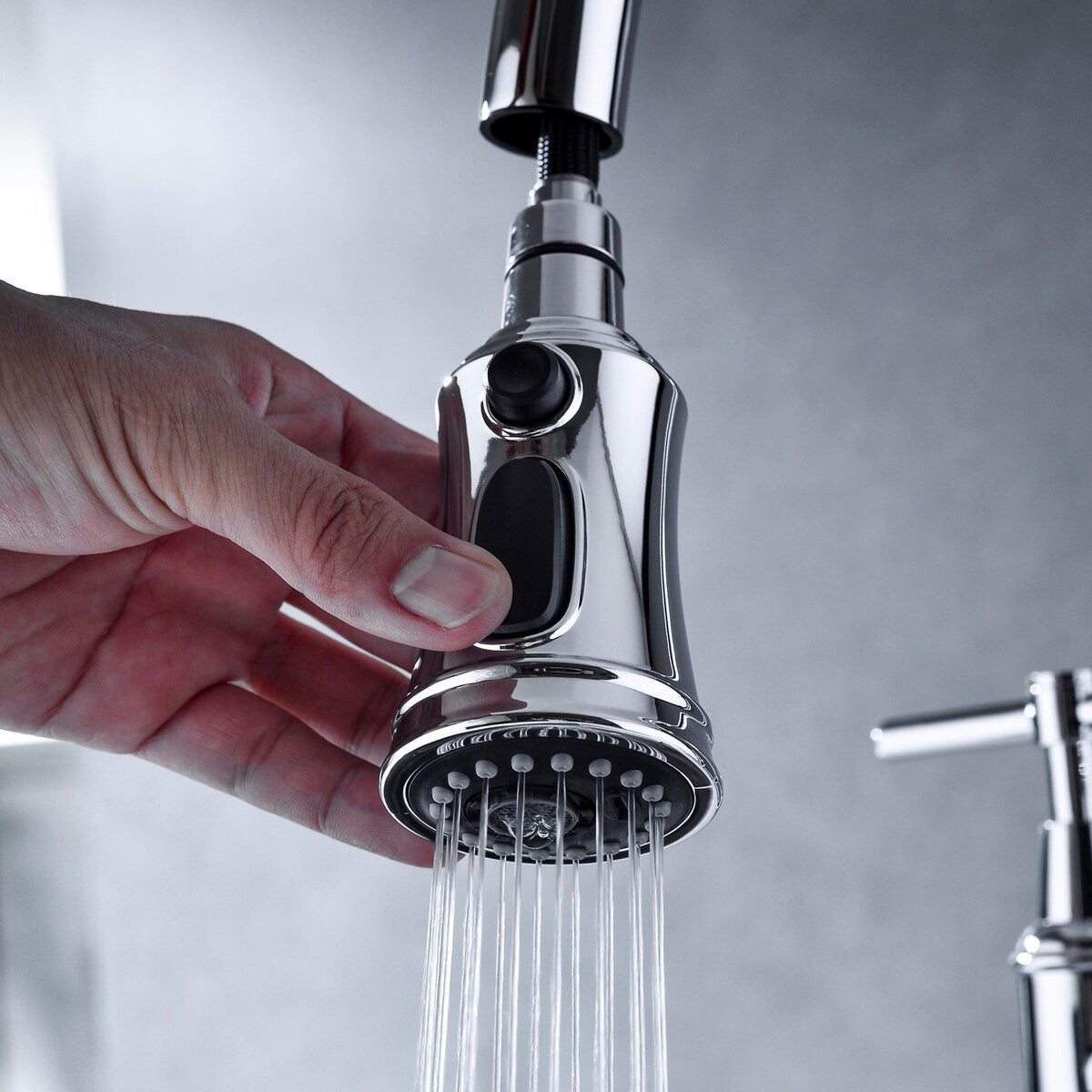 Bridge kitchen faucet with bridge pulldown spray