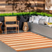 Nuloom Kristen Striped Indoor/Outdoor Area Rug