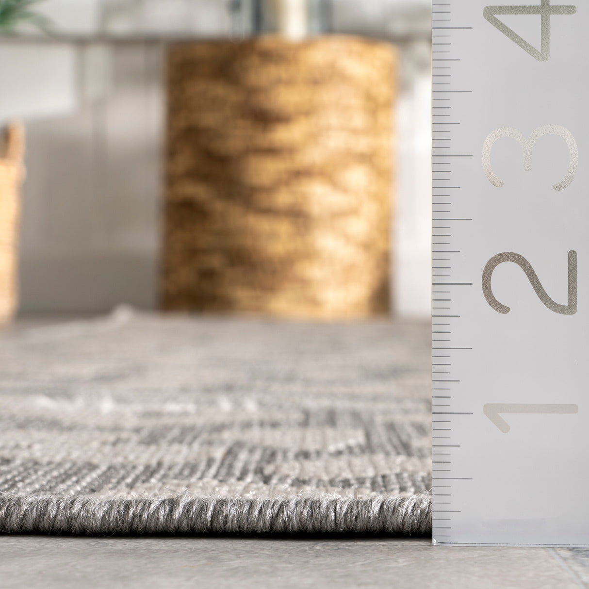 Nuloom Terenia Leopard Indoor/Outdoor Area Rug
