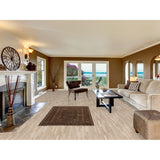 Brown Balouch Persian Antique Area Rug Hand-knotted Wool Carpet - 3'10" x 6'0"