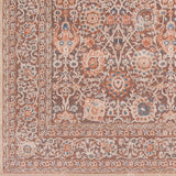 Brown Elegant Traditional Area Rug (5'3" x 7'3") - 5'3" x 7'3"