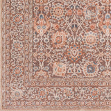 Brown Elegant Traditional Area Rug (5'3" x 7'3") - 5'3" x 7'3"