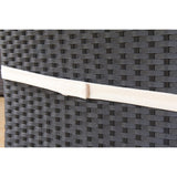 BroyerK Black and Cream Polyethylene Rattan Outdoor Dining Chairs (Set of 2)