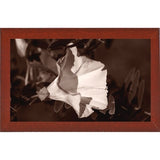 Buffalo River 9-GORSEM85086 Print 8"x13.75" by Gordon Semmens