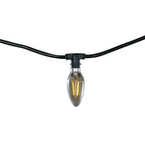 Bulbrite 14-foot Indoor/Outdoor Decorative String Light with Incandescent Globe