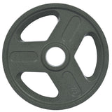 Bumper Plates Olympic weight plates, bumper weight plates, steel inserts, strength training, one piece of 25LB