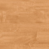 1158584186