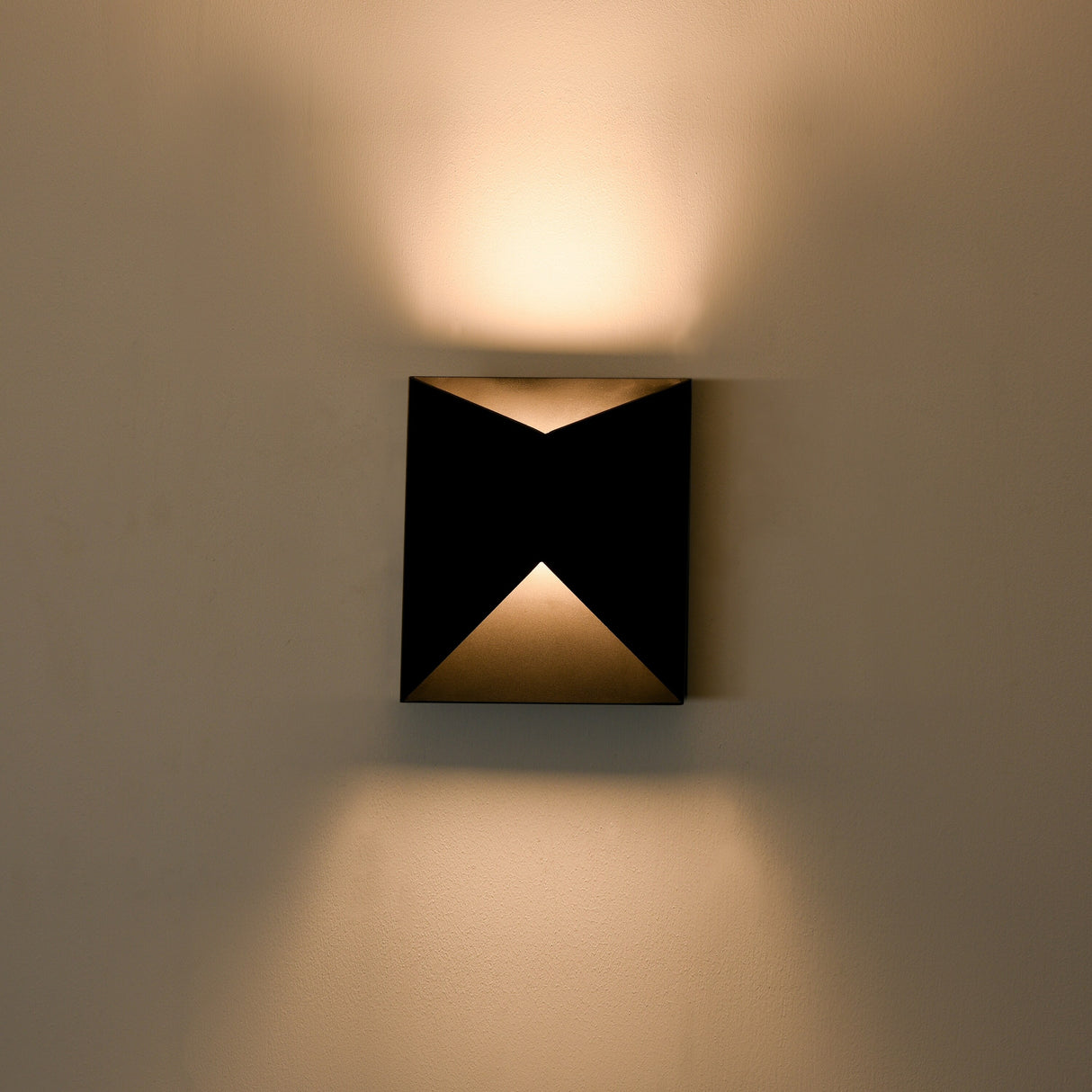 C Cattleya 2-Light Modern Matte Black Integrated LED Outdoor Wall Light