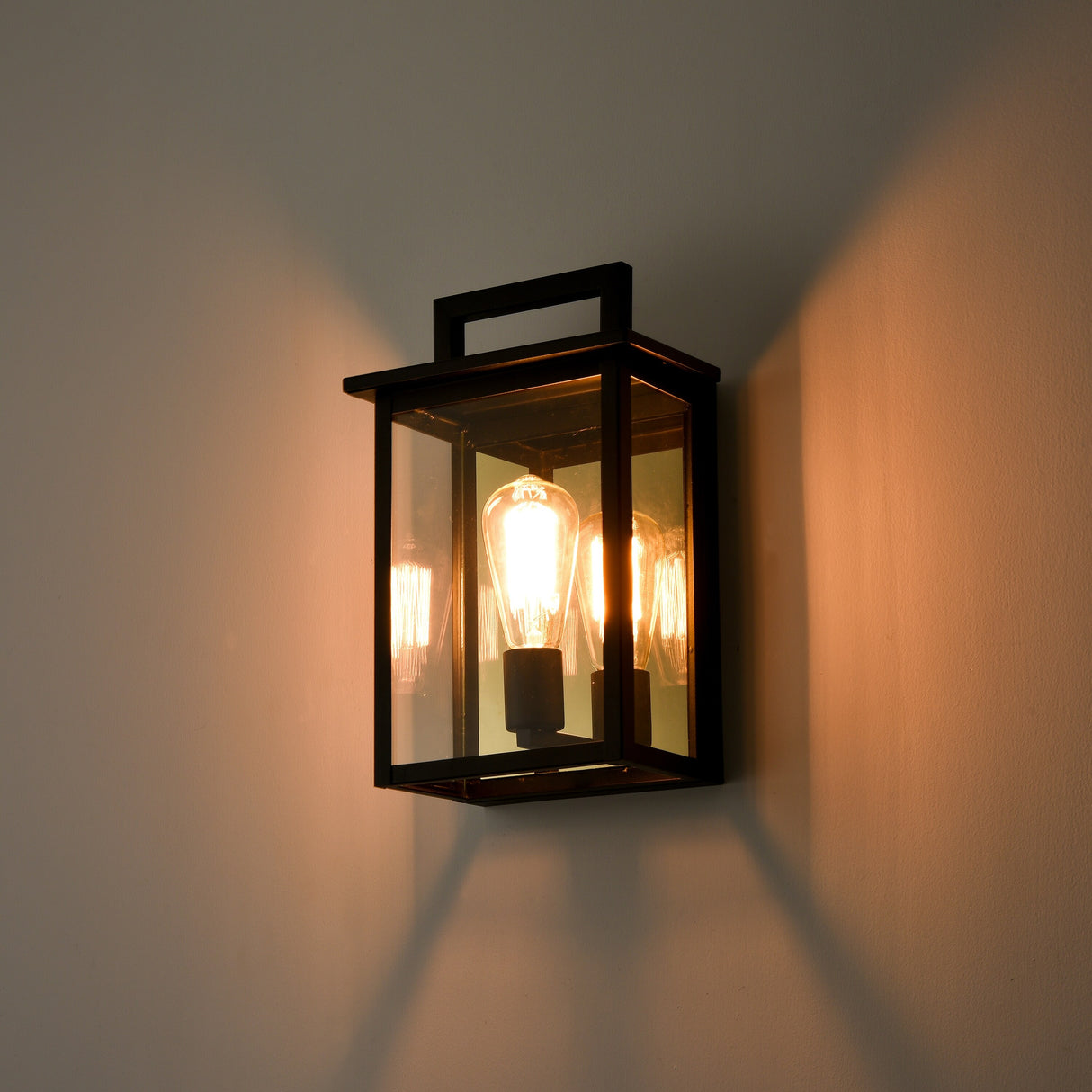 C Cattleya Matte Black Outdoor Wall Light with Gold Reflector and Clear Glass Shade