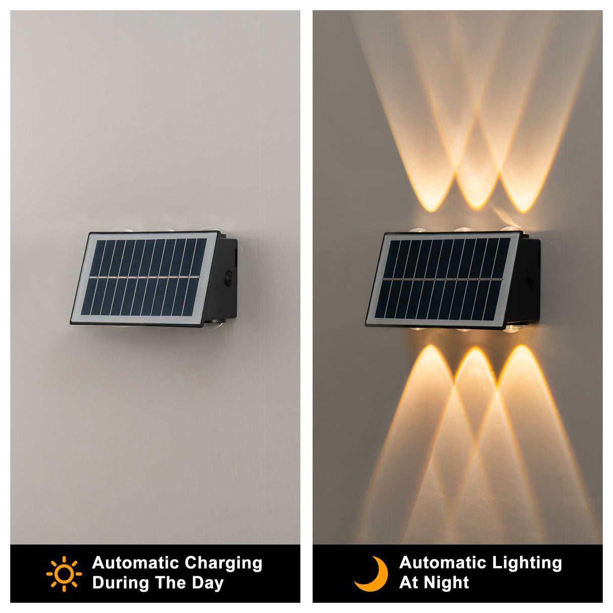 C Cattleya 2-Pack Solar LED Dusk to Dawn Outdoor Wall Sconce Light