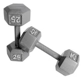 CAP Barbell 10 lb Pair of Dumbbells (Set of 2) - grey