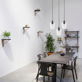 CO-Z 1-light Glass Pendant Light with Adjustable Cord
