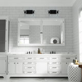 CO-Z Modern 2-Light Vanity Light Wall Sconce with Clear Glass Shades