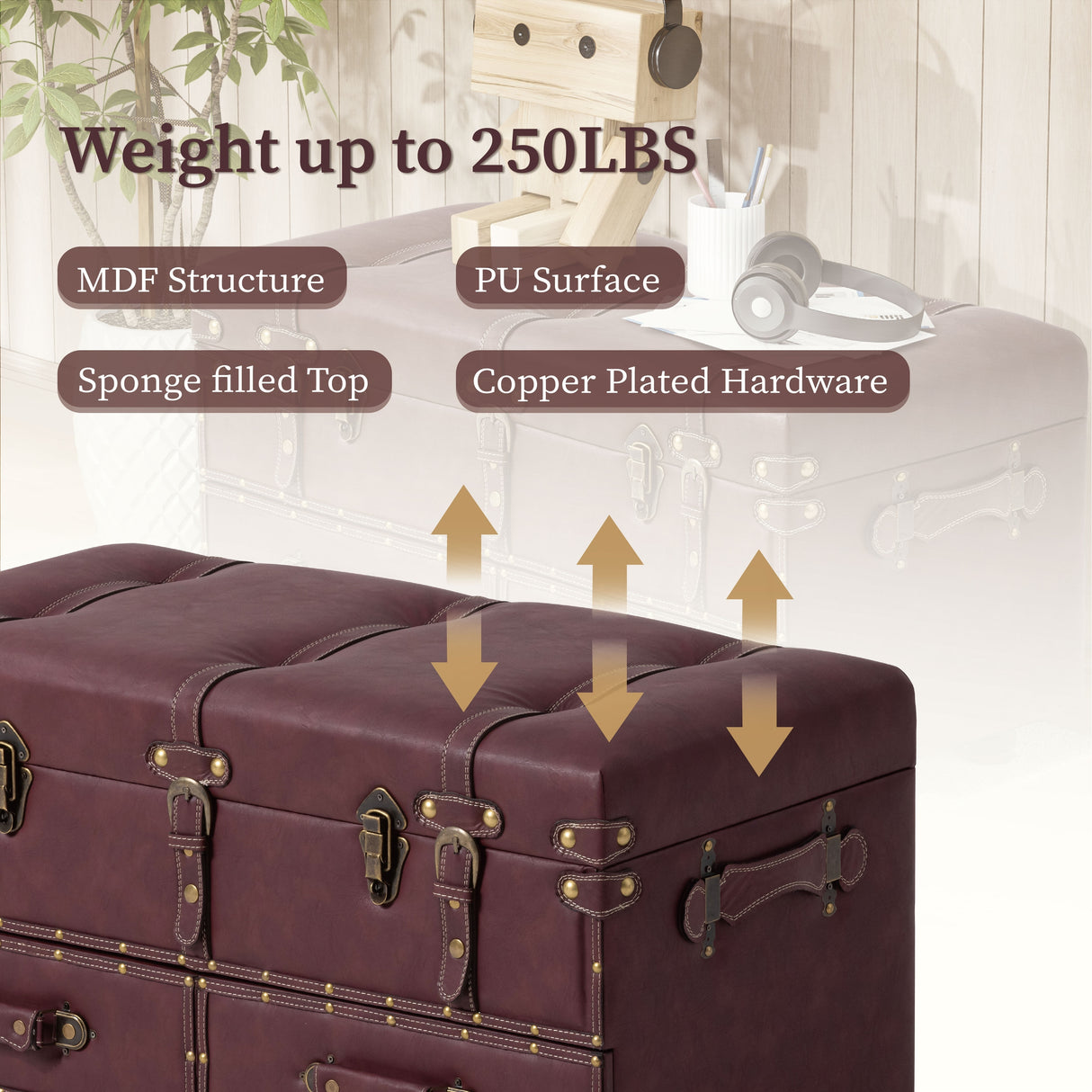 COZAYH Vintage Storage Ottoman Bench, Chest Cabinet with Latch Closure and Buckle for Bedroom Closet Home Organizer Decorative